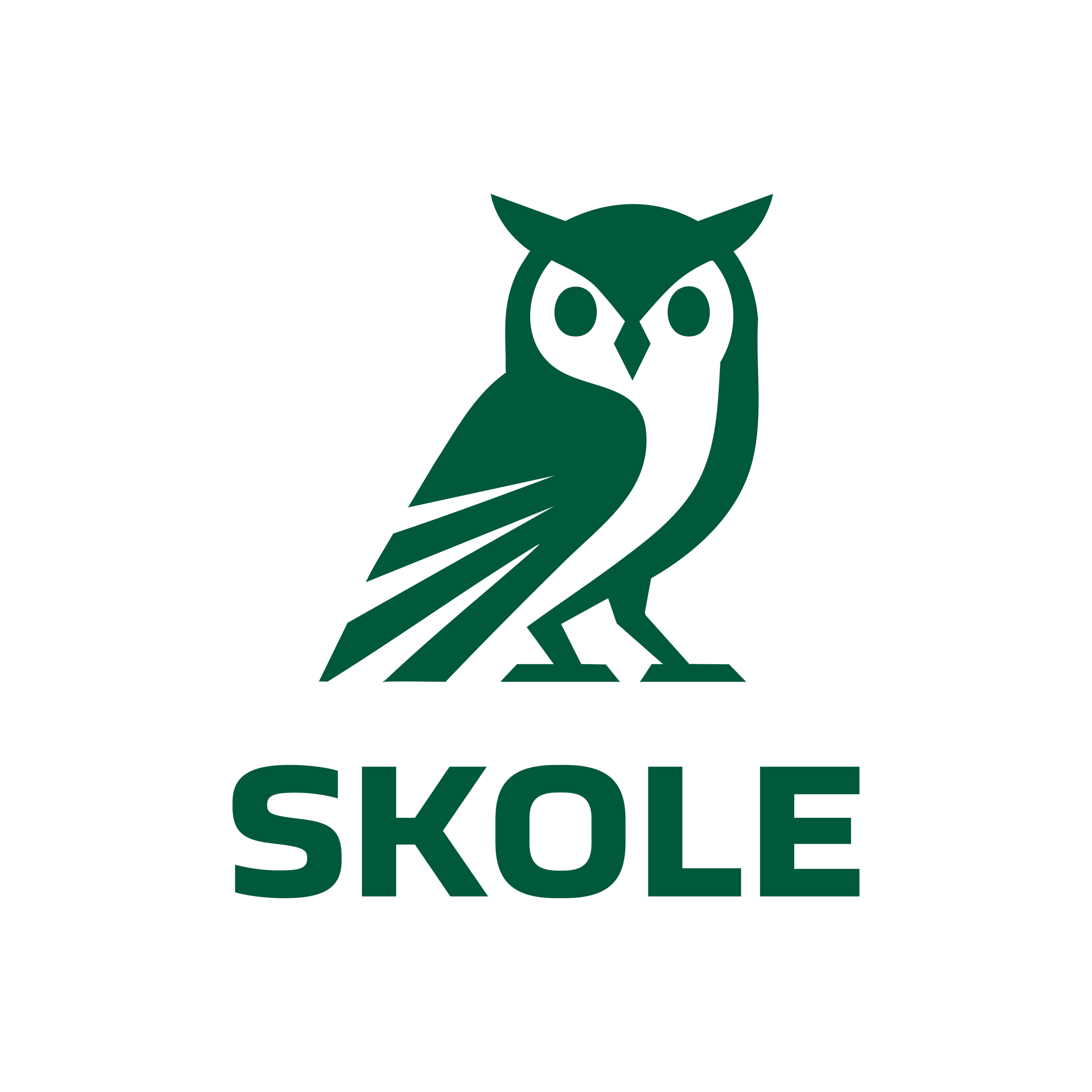 Logo de Skole en Plaza las Américas