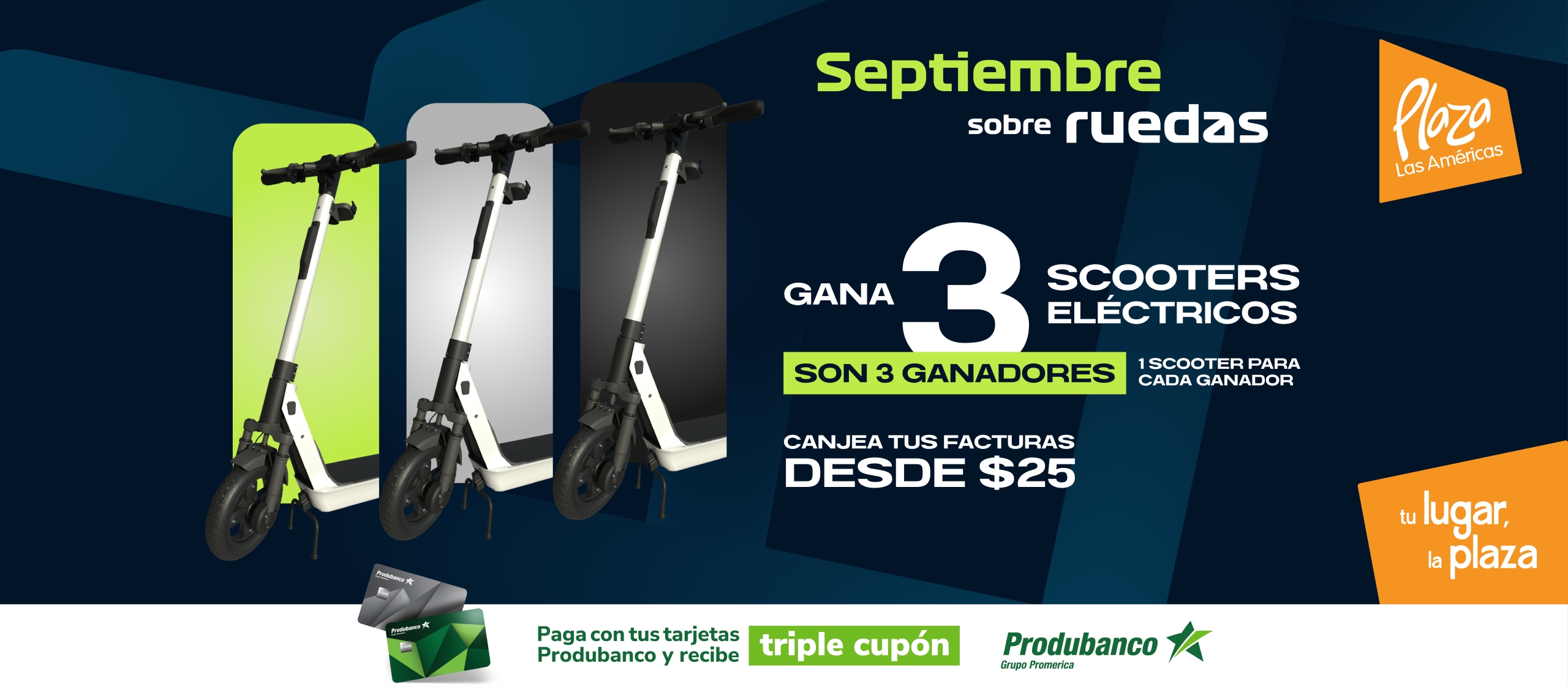 Banner web SSR_Mesa de trabajo 1