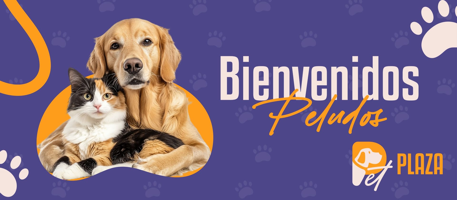 Banner-web-scaled